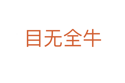 目無(wú)全牛