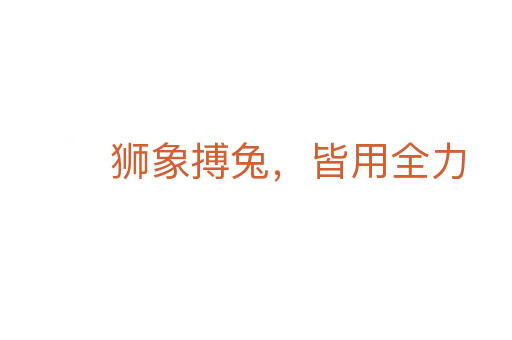 獅象搏兔，皆用全力