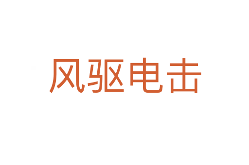 風驅(qū)電擊