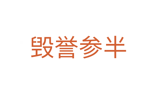 毀譽(yù)參半