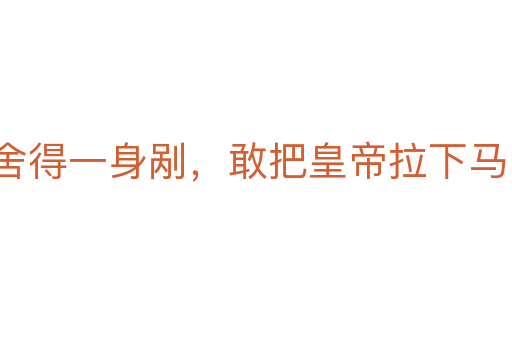 舍得一身剮，敢把皇帝拉下馬