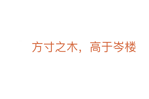 方寸之木，高于岑樓