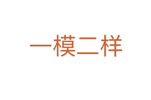 一模二樣
