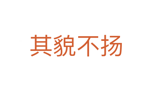 其貌不揚(yáng)