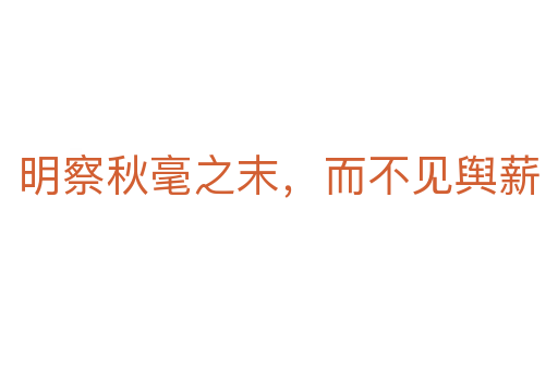 明察秋毫之末，而不見輿薪