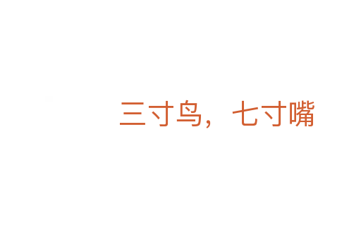 三寸鳥，七寸嘴