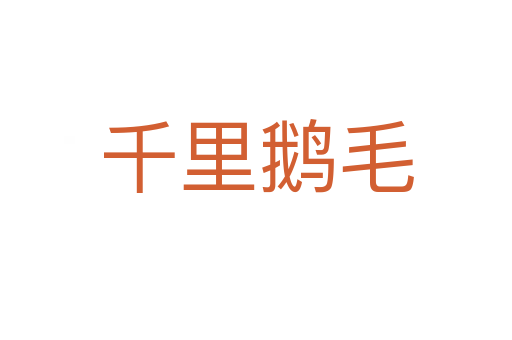 千里鵝毛