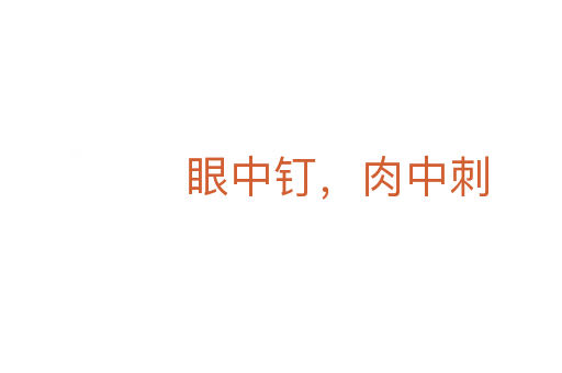 眼中釘，肉中刺