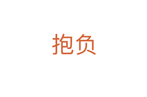 抱負(fù)