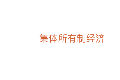 集體所有制經(jīng)濟