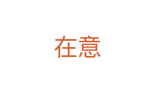 在意
